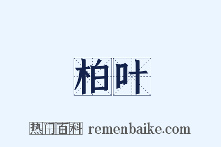 柏叶是什么意思的图片
